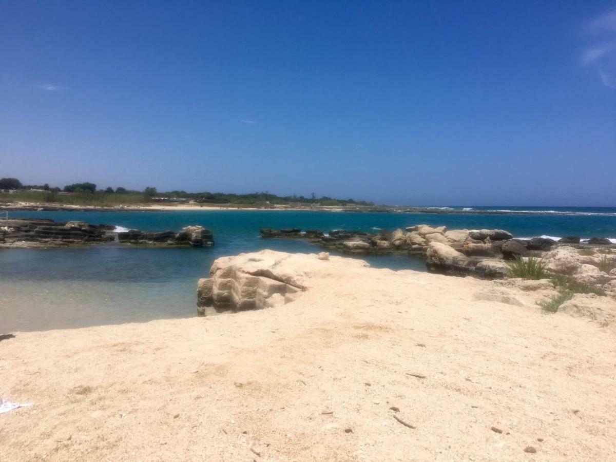 Almarea Blu - Appartamento In Villa Vicino Al Mare - Affitto Breve Polignano a Mare Εξωτερικό φωτογραφία